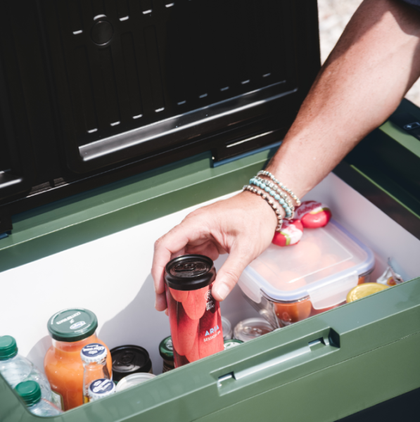 Автохолодтльник компрессорный Indel B Travel Box ITB32 12/24В